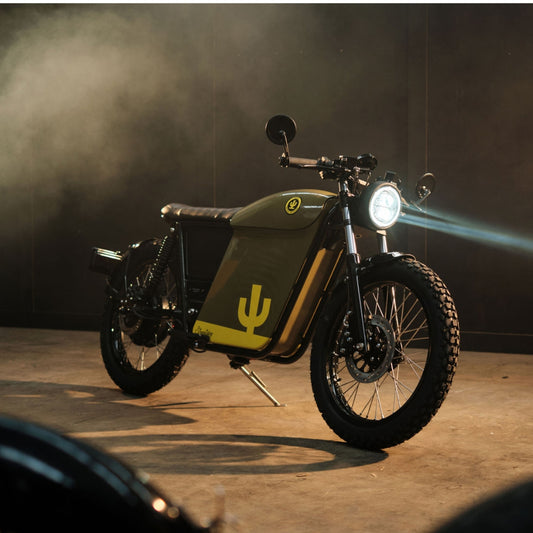 Cactus Outdoor Streetdog